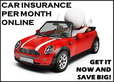 Car Insurance Per Month 3821